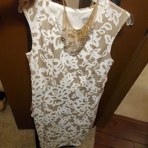 Dress NWOT